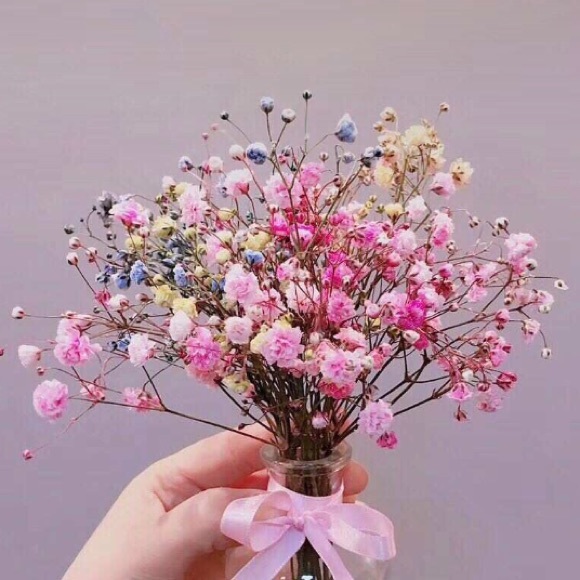 littlepopshop